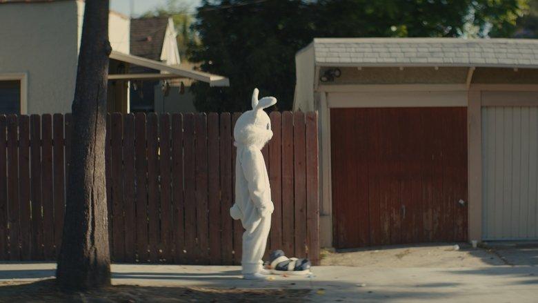 Bunny image