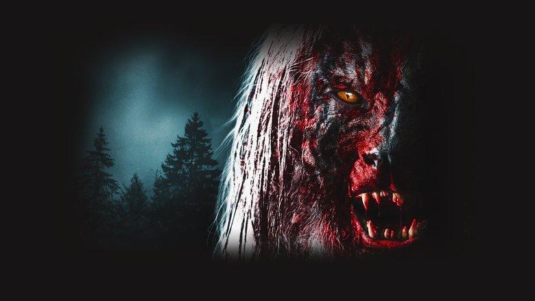 Howl image