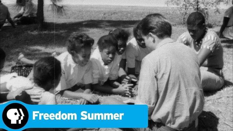 Freedom Summer image