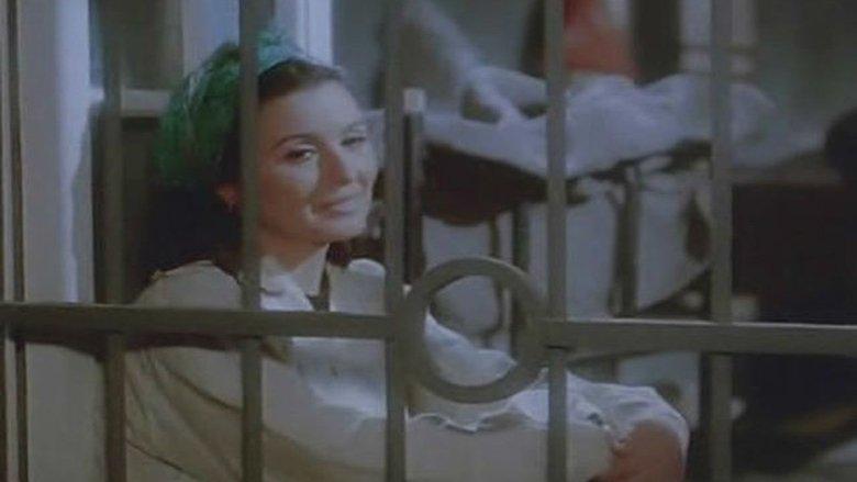 Love in a Jail Cell image