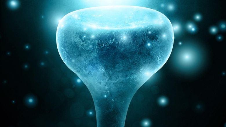 Neurons to Nirvana image