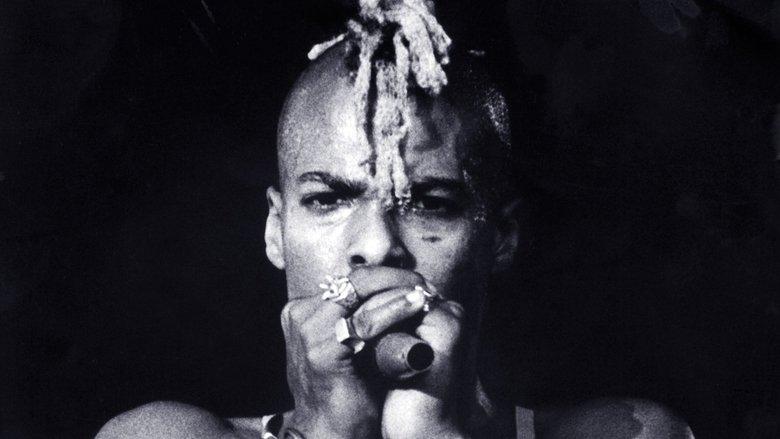 Everyday Sunshine: The Story of Fishbone image