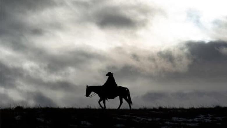 Bring on the Dancing Horses image