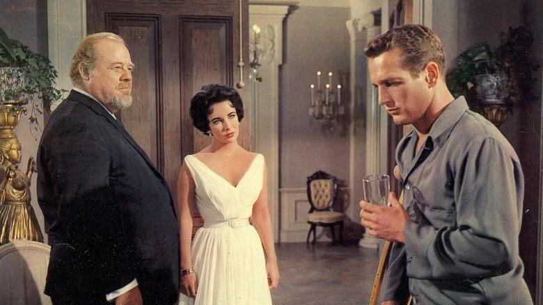 Cat on a Hot Tin Roof image