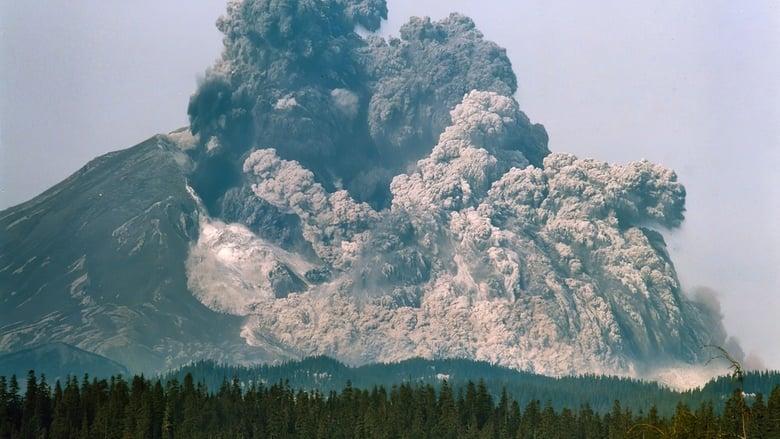 Surviving the Mount St. Helens Disaster image