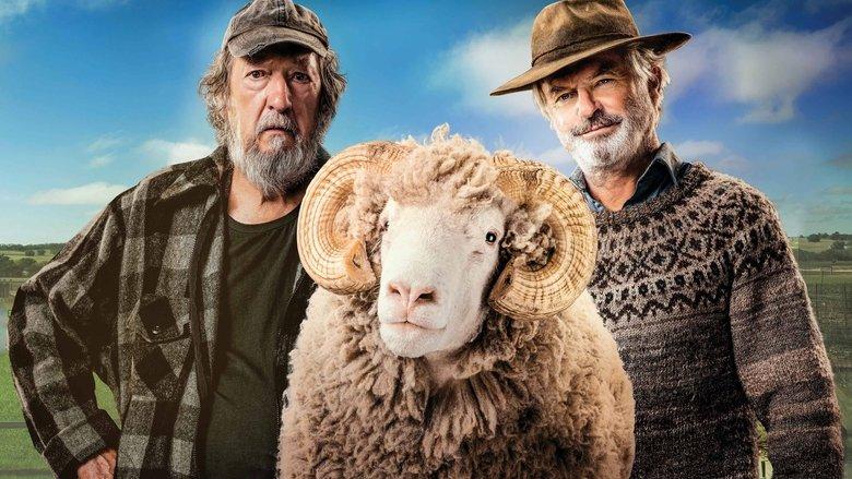 Rams image