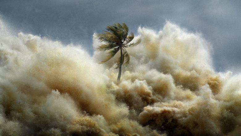 Tsunami: Race Against Time image