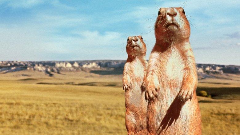 The Vanishing Prairie image