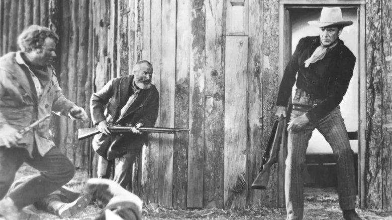 Springfield Rifle image