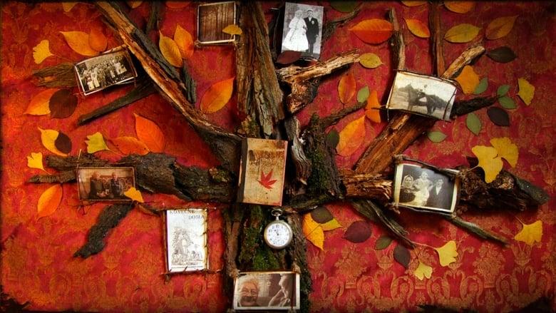 Felvidek – Caught in Between image