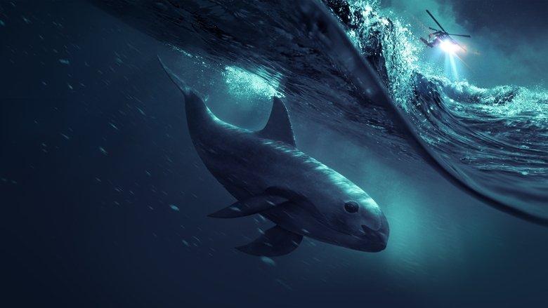 Sea of Shadows image