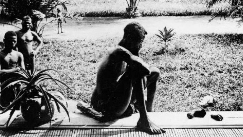 Congo: White King, Red Rubber, Black Death image