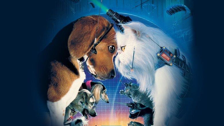Cats & Dogs image