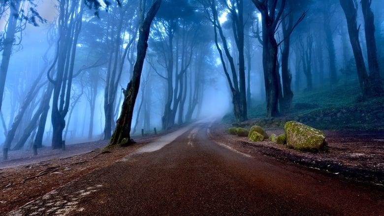 These Woods Are Haunted image