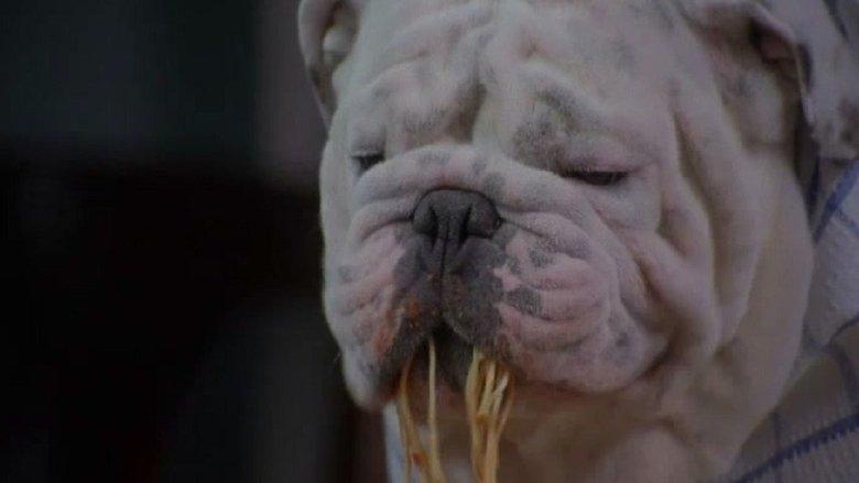 The Dogfather image