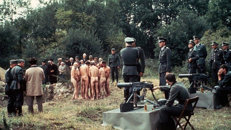 Holocaust image