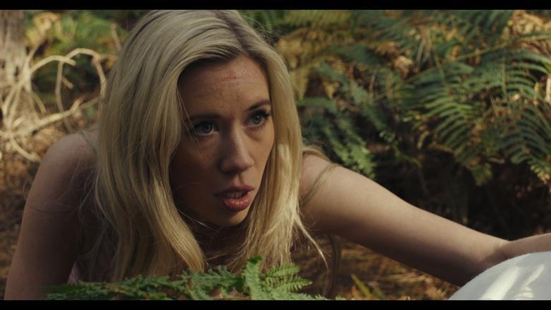 The Final Scream image
