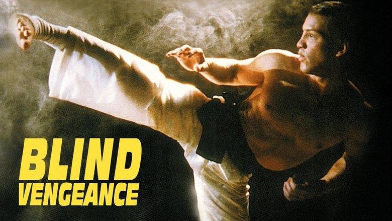 Blind Vengeance image