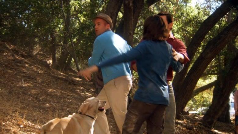 The Gold Retrievers image