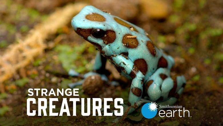 Strange Creatures image