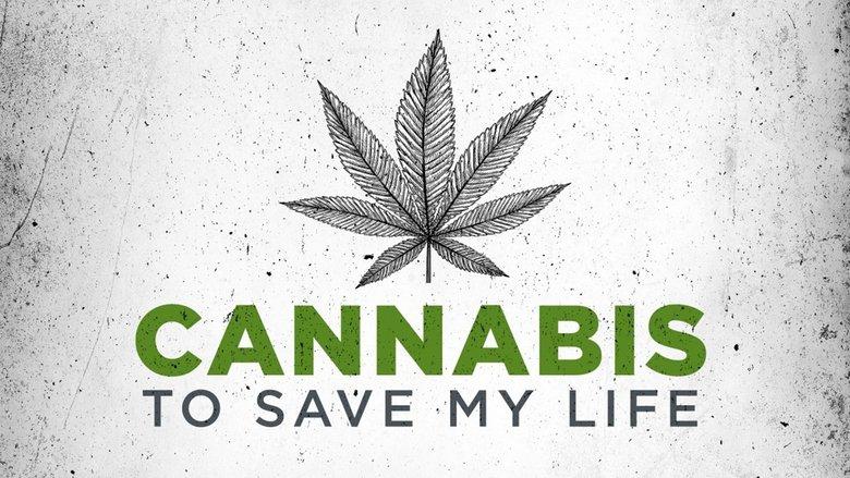 Cannabis to Save My Life image