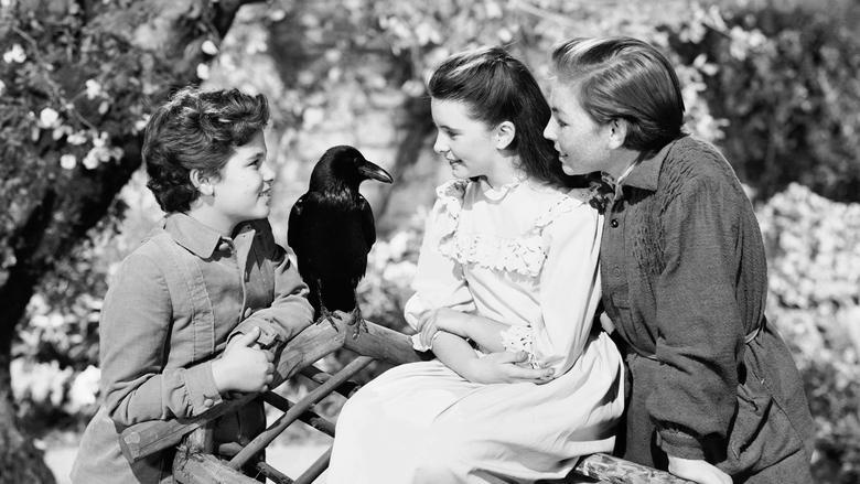 The Secret Garden image