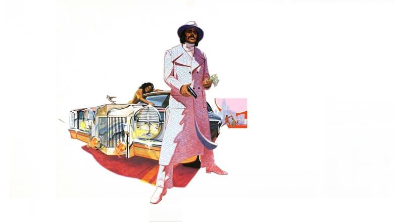 Super Fly image
