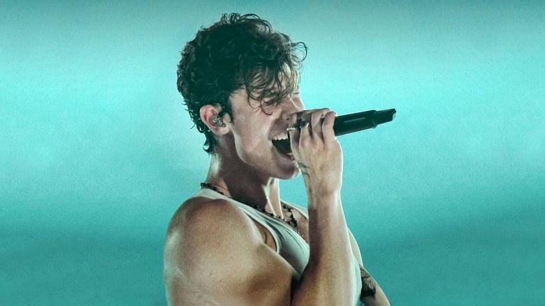 Shawn Mendes: Live in Concert image