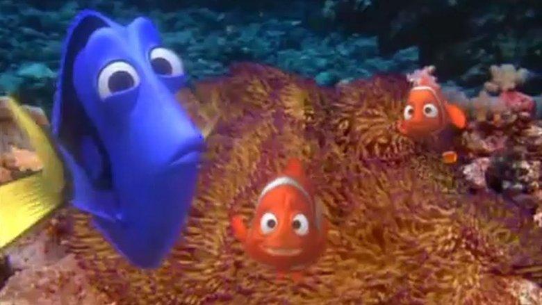 Exploring the Reef image