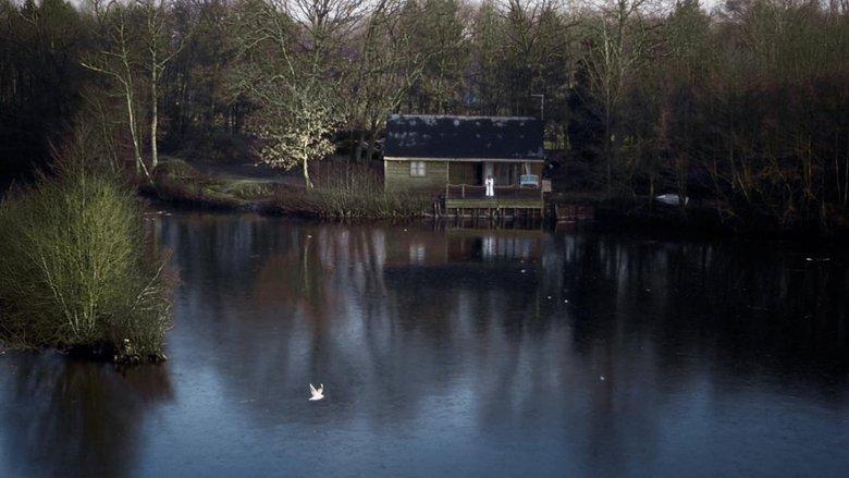 House on Elm Lake image