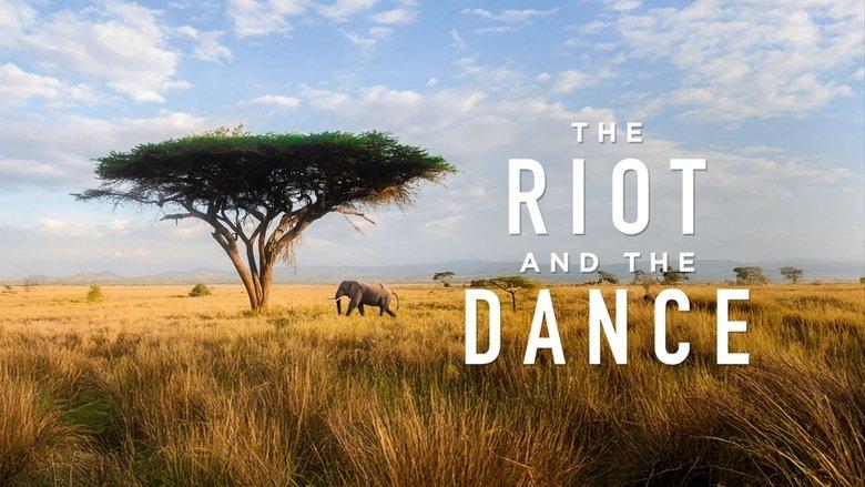 The Riot and the Dance image