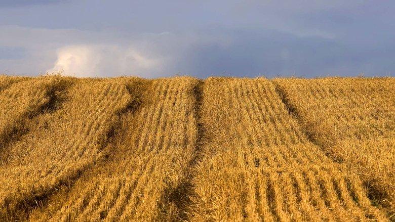 Food Matters image