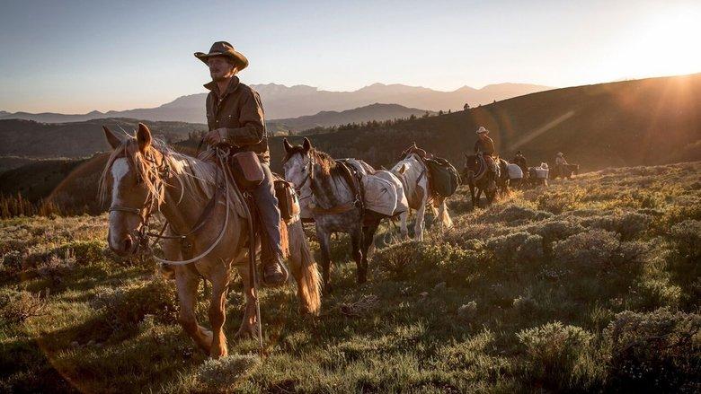 Unbranded image
