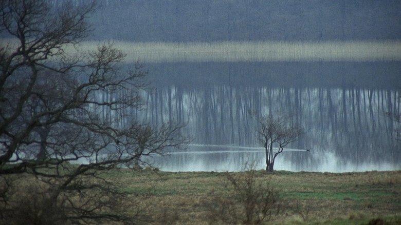 The New Land image