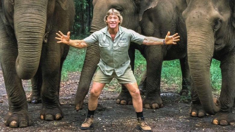 The Steve Irwin Story image