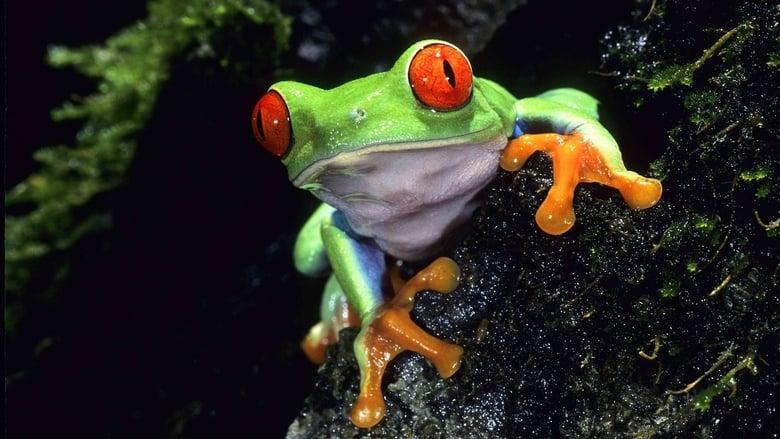 Life on Earth image