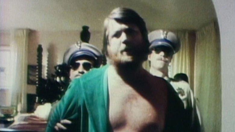 The Beach Boys: It's OK image