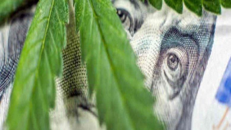 Cannabis : quand le deal est légal image