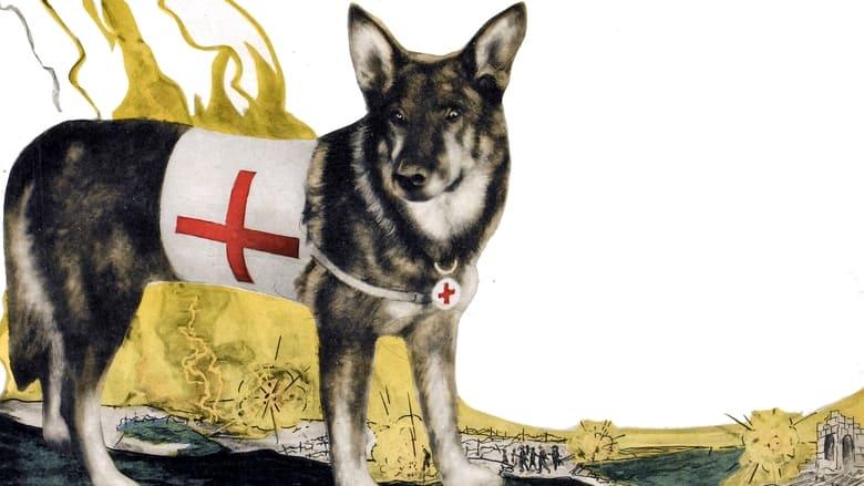 A Dog of the Regiment image