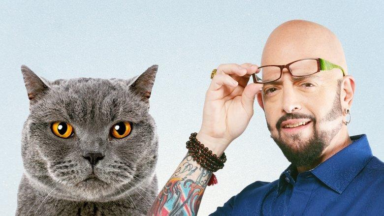 My Cat from Hell image