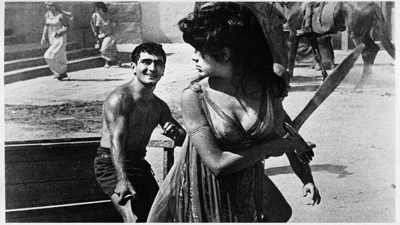 The Shame of the Sabine Women image