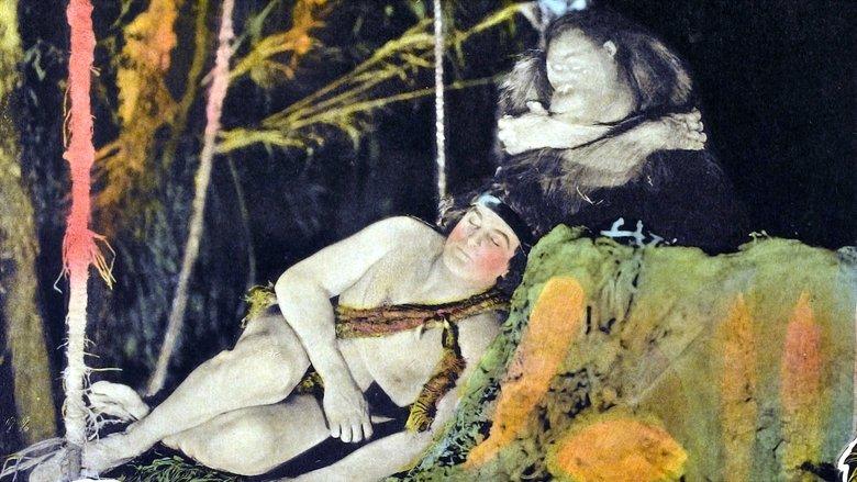 The Adventures of Tarzan image