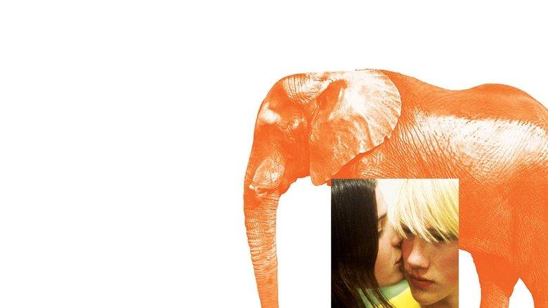 Elephant image