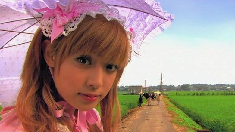 Kamikaze Girls image