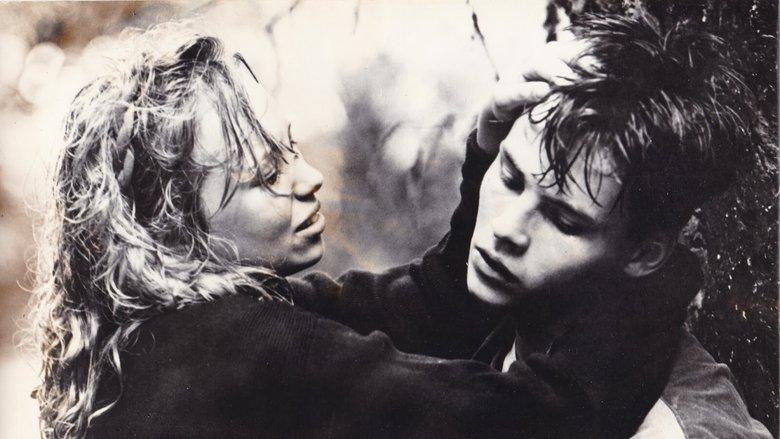 Love Till First Blood image