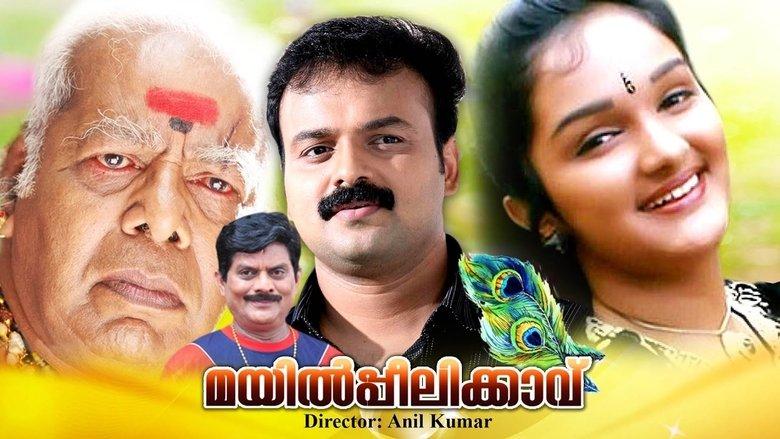 Mayilpeelikkavu image