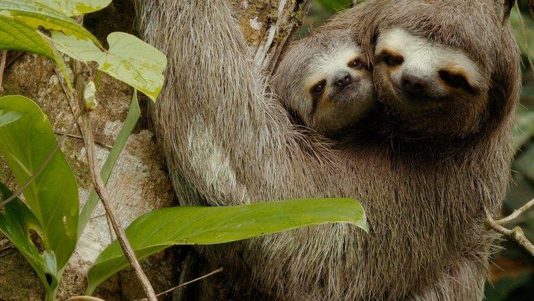 Colombia - Wild and Free image