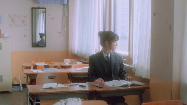 The Dream Songs image