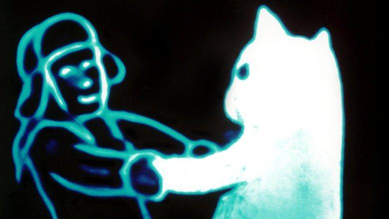 Snow Cat image