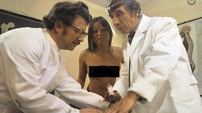 Gestatten, Vögelein im Dienst image
